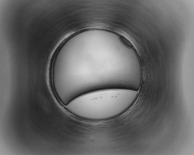 X0000100331139200806051158