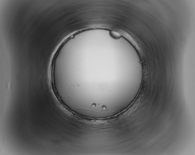 X0000100331140200806051158