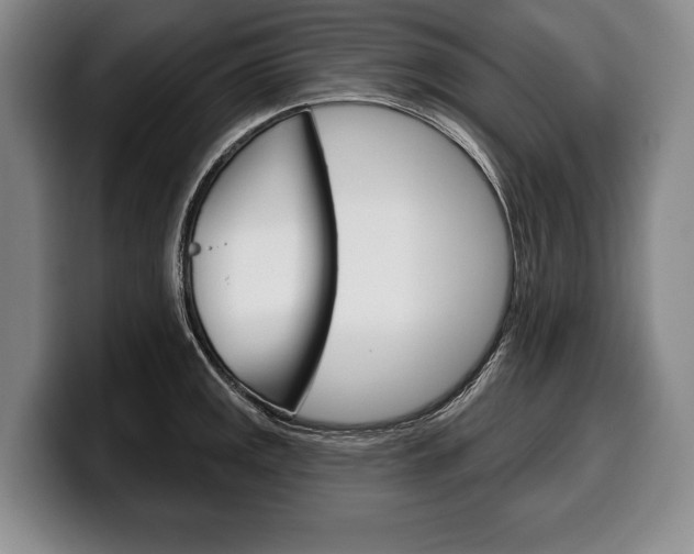 X0000100331141200806051158
