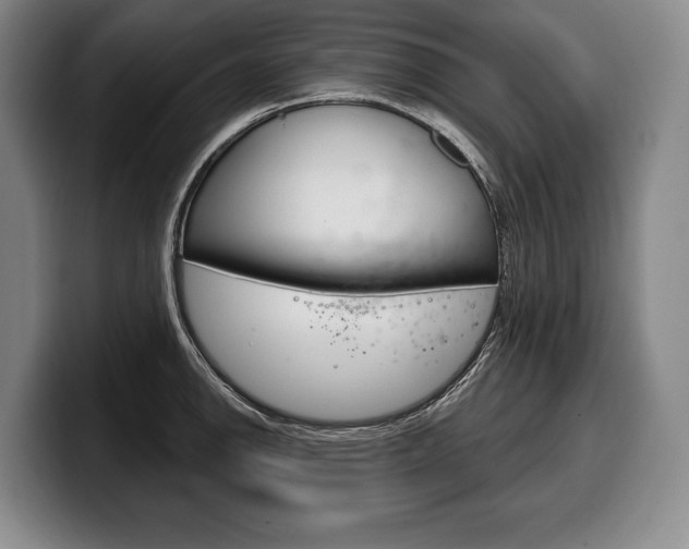 X0000100331142200806051158