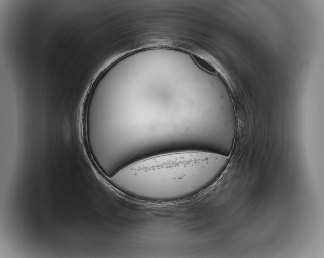 X0000100331143200806051158