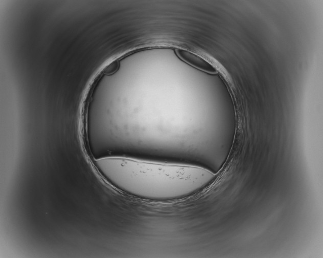X0000100331144200806051158