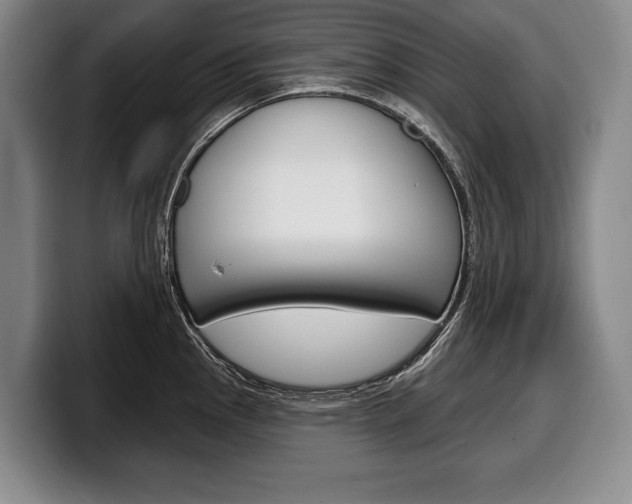 X0000100331145200806051158