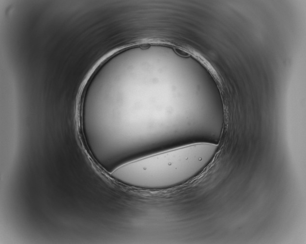X0000100331148200806051158