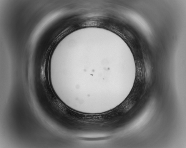 X0000100331150200806051158