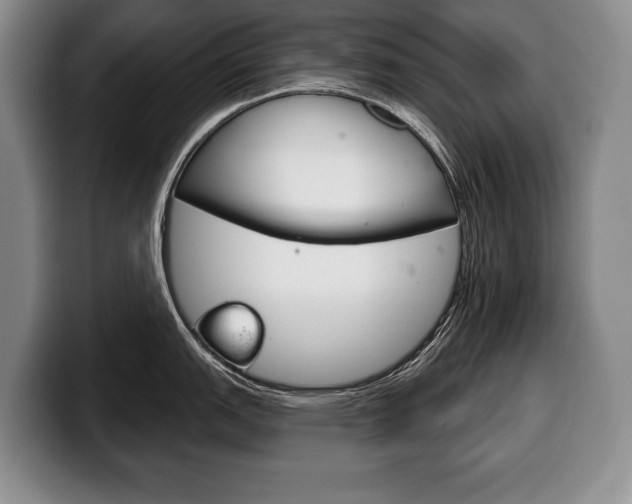 X0000100331151200806051158
