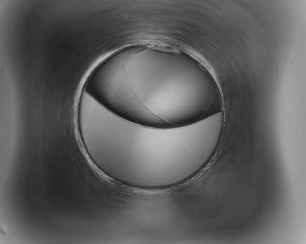 X0000100331152200806051158