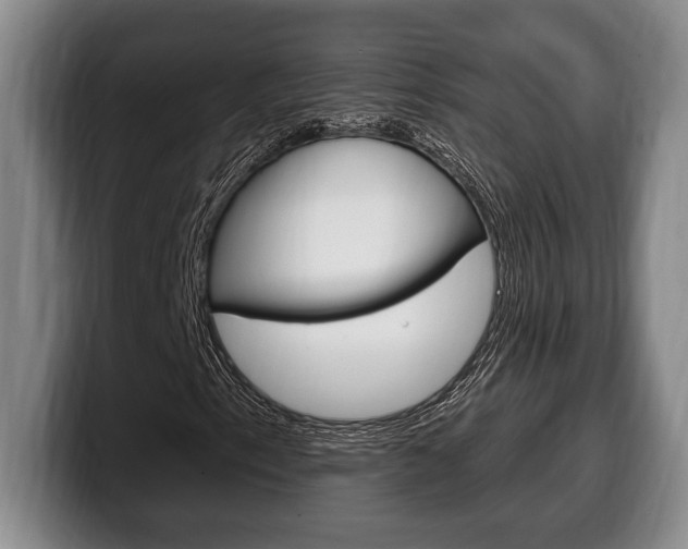 X0000100331153200806051157