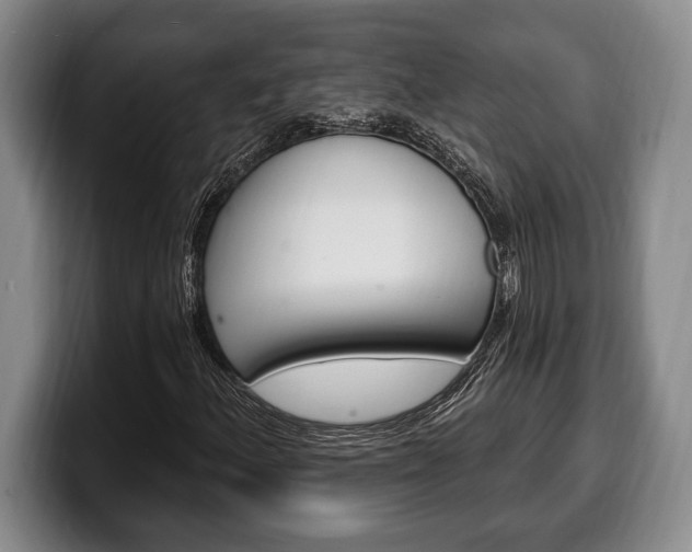 X0000100331156200806051157