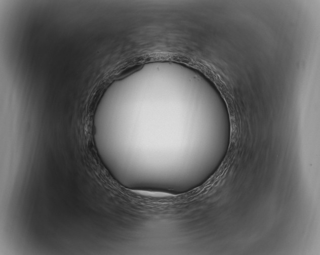 X0000100331157200806051157