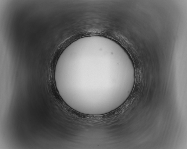 X0000100331158200806051157