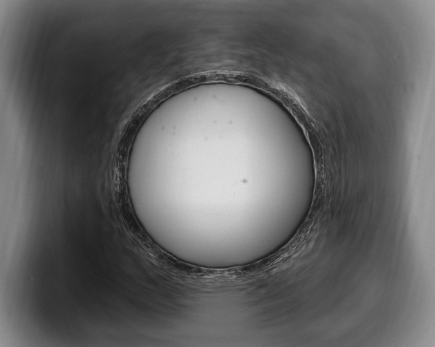 X0000100331159200806051157