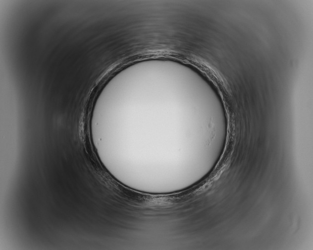 X0000100331162200806051157