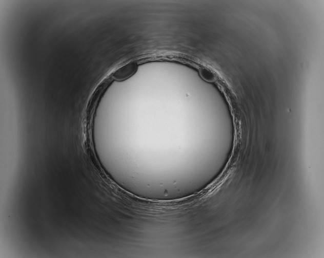 X0000100331165200806051157