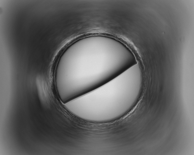 X0000100331167200806051157