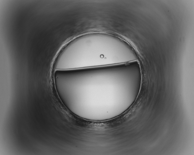 X0000100331168200806051157