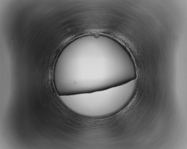 X0000100331169200806051157