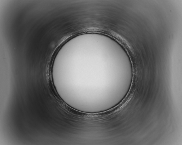 X0000100331170200806051157
