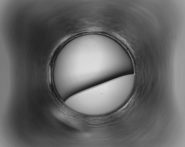 X0000100331171200806051157