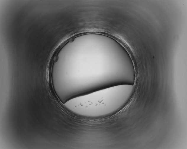 X0000100331173200806051157