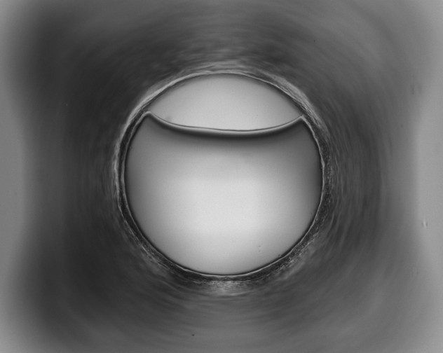 X0000100331176200806051157