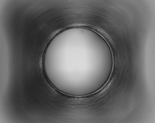 X0000100331177200806051157