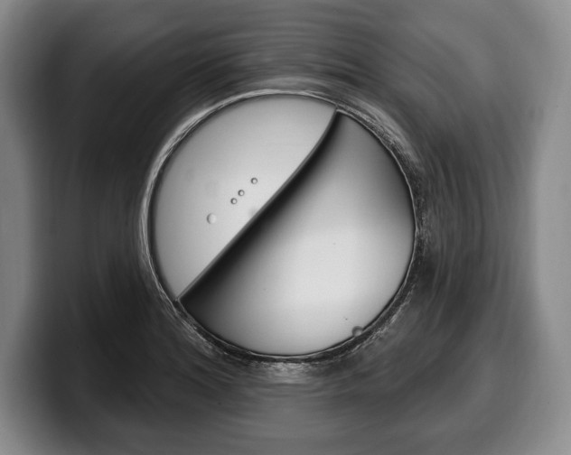X0000100331180200806051157