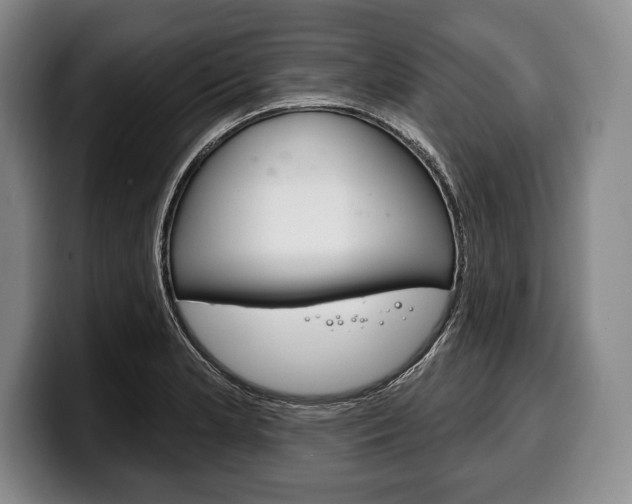 X0000100331181200806051157