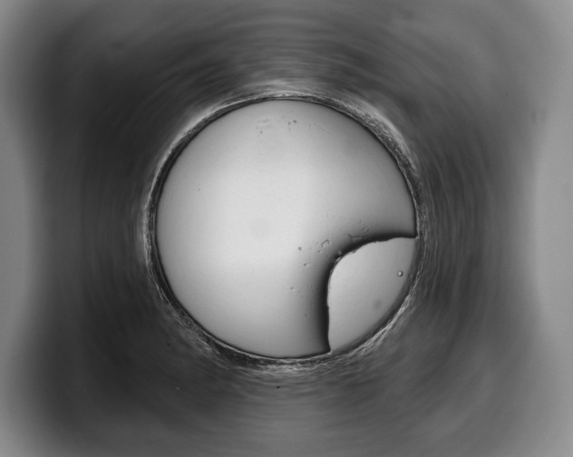 X0000100331182200806051157