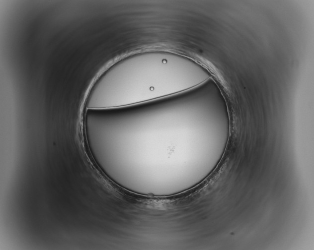 X0000100331184200806051157