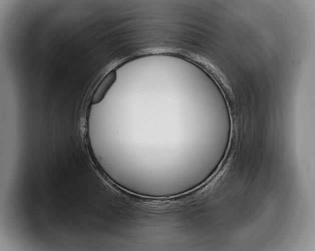 X0000100331185200806051157