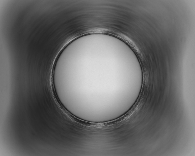 X0000100331186200806051157