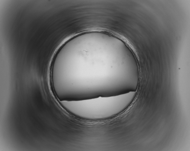 X0000100331187200806051157