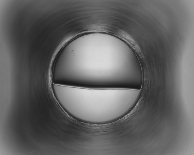 X0000100331188200806051157