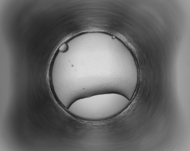 X0000100331189200806051157