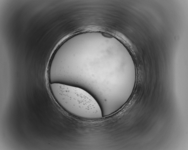 X0000100331190200806051157