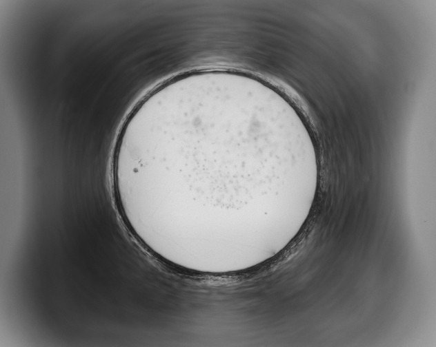 X0000100331191200806051157