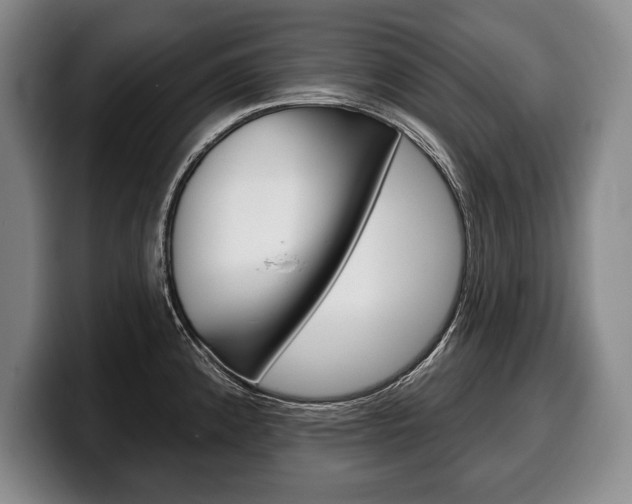 X0000100331192200806051157