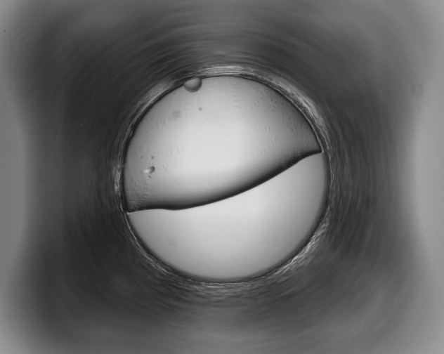 X0000100331193200806051157