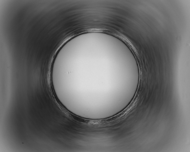 X0000100331194200806051157