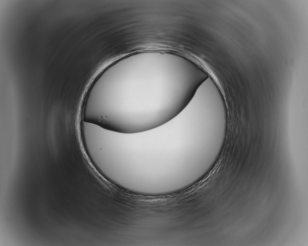 X0000100331195200806051157