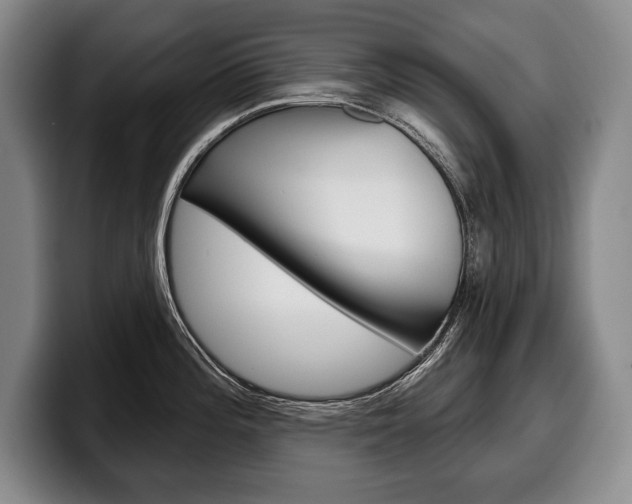 X0000100331196200806051157