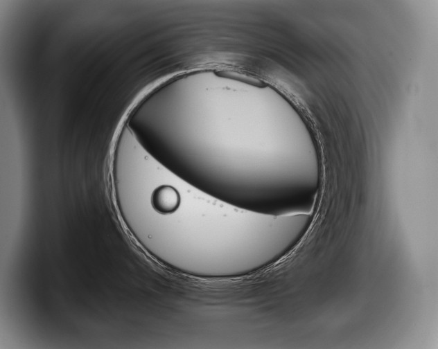 X0000100331200200806051157
