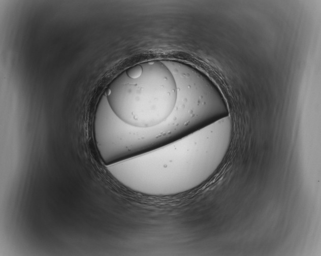 X0000100331205200806051156