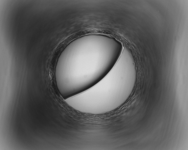 X0000100331206200806051156