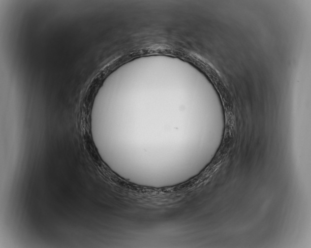 X0000100331207200806051156