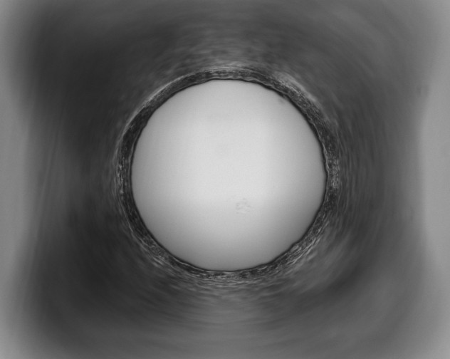 X0000100331208200806051156