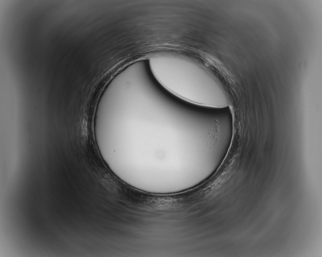 X0000100331209200806051156