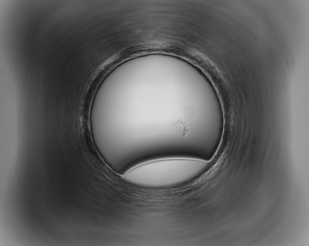 X0000100331210200806051156