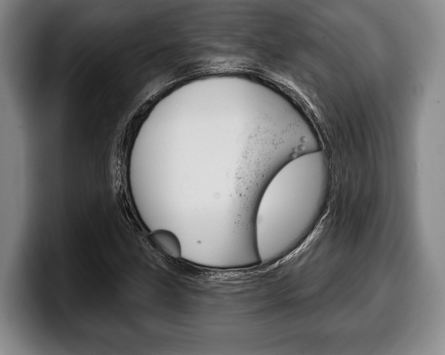 X0000100331211200806051156